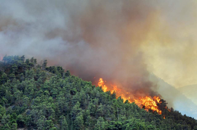 Proroga periodo a rischio incendi boschivi