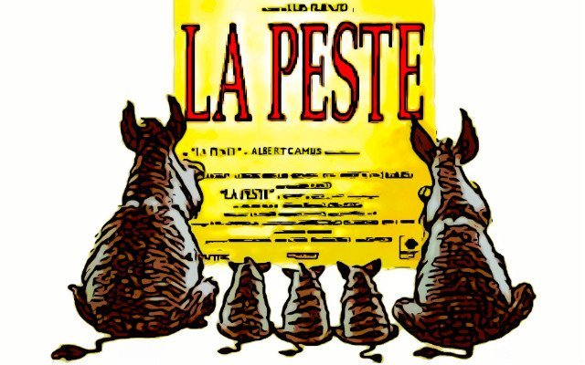 ALLERTA PESTE SUINA AFRICANA